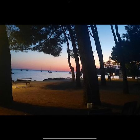 Apartman Sija Novigrad Novigrad Istria 外观 照片