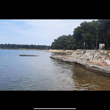 Apartman Sija Novigrad Novigrad Istria 外观 照片