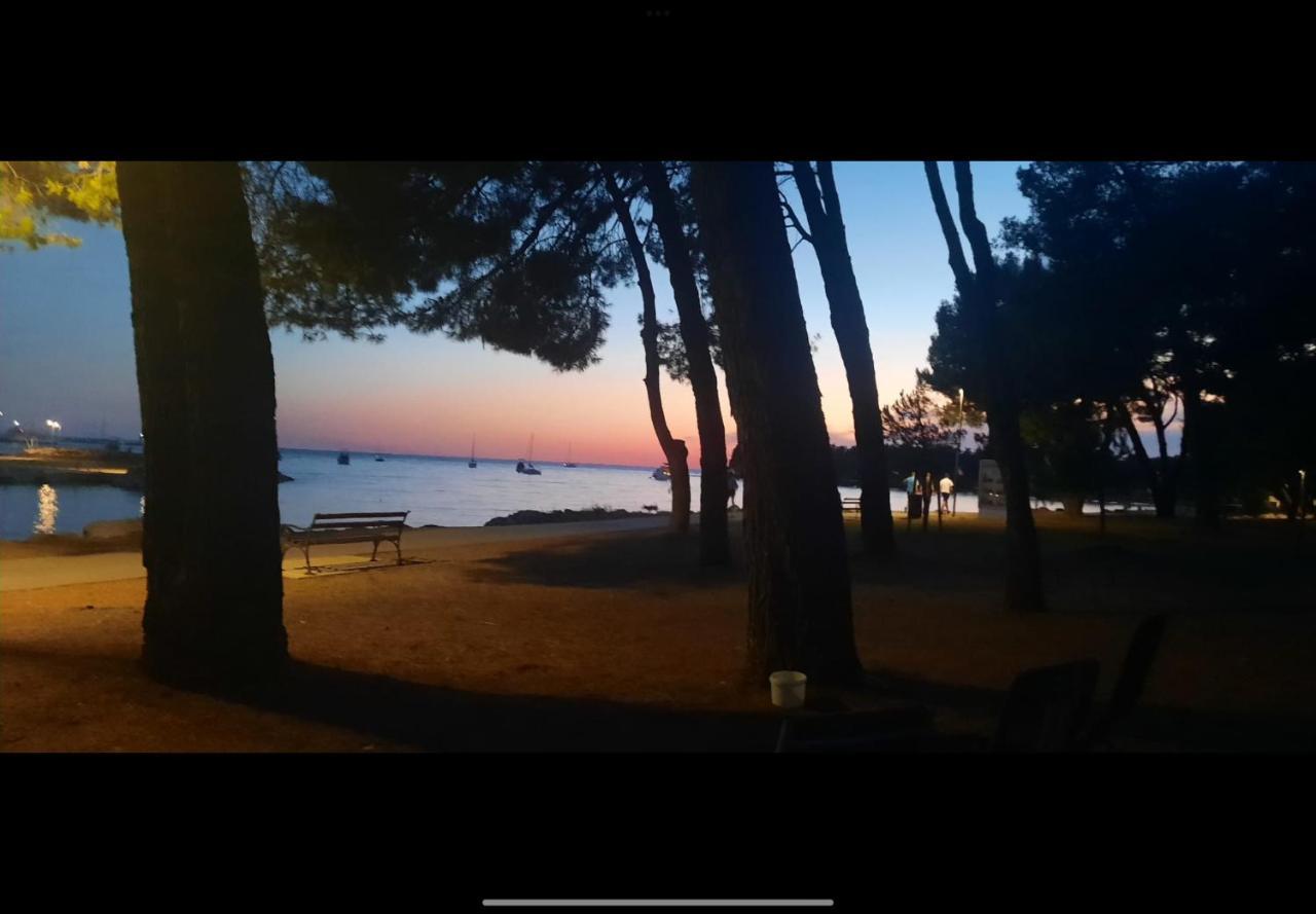 Apartman Sija Novigrad Novigrad Istria 外观 照片