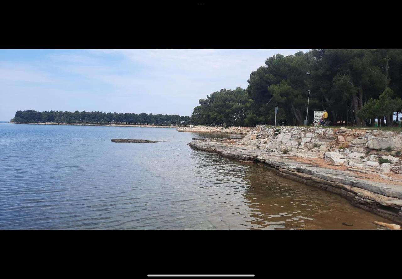 Apartman Sija Novigrad Novigrad Istria 外观 照片